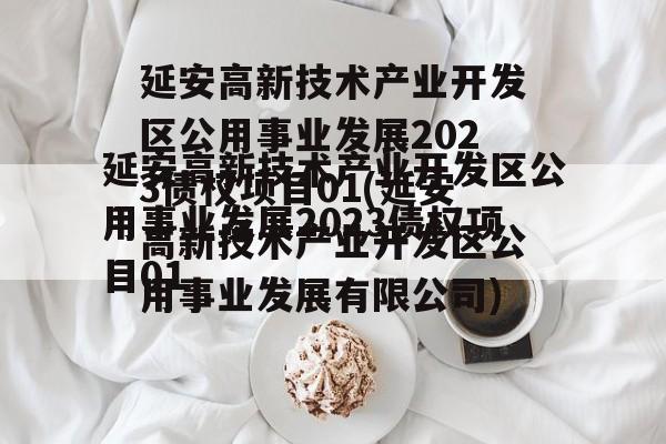 延安高新技术产业开发区公用事业发展2023债权项目01(延安高新技术产业开发区公用事业发展有限公司)