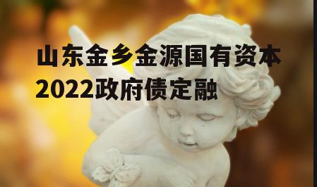 山东金乡金源国有资本2022政府债定融