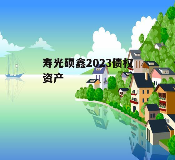 寿光硕鑫2023债权资产