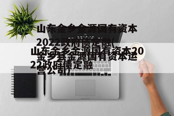 山东金乡金源国有资本2022政府债定融(金乡县金源国有资本运营公司)