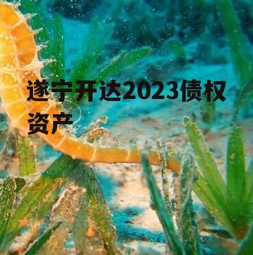 遂宁开达2023债权资产