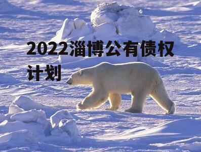 2022淄博公有债权计划