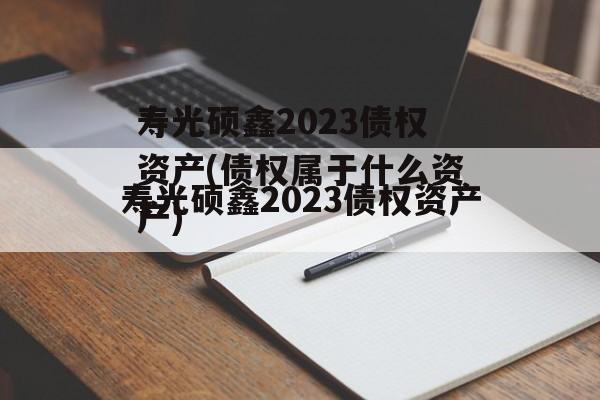 寿光硕鑫2023债权资产(债权属于什么资产)