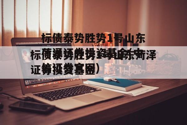 标债泰势胜势1号山东菏泽证券投资基金(中信证券官网)