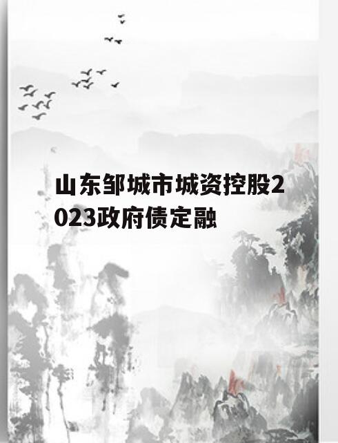 山东邹城市城资控股2023政府债定融