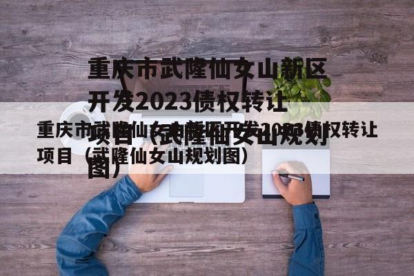 重庆市武隆仙女山新区开发2023债权转让项目（武隆仙女山规划图）