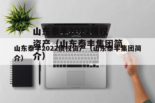 山东泰丰2022债权资产（山东泰丰集团简介）