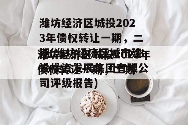 潍坊经济区城投2023年债权转让一期，二期(潍坊经济区城市建设投资发展集团有限公司评级报告)