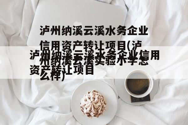 泸州纳溪云溪水务企业信用资产转让项目(泸州纳溪云溪实验小学怎么样)