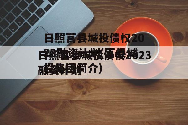 日照莒县城投债权2023融资计划(莒县城投集团简介)