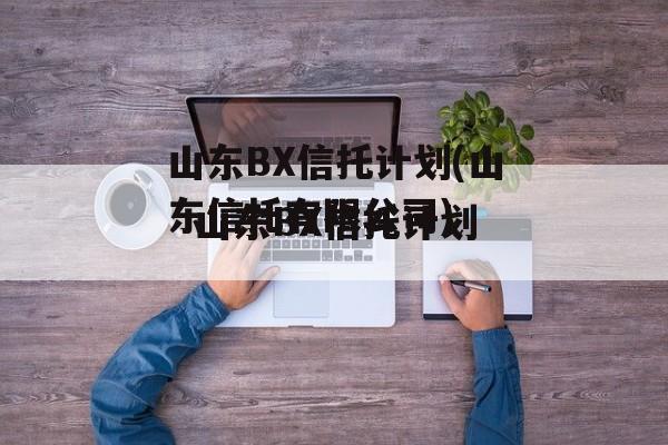 山东BX信托计划(山东信托有限公司)