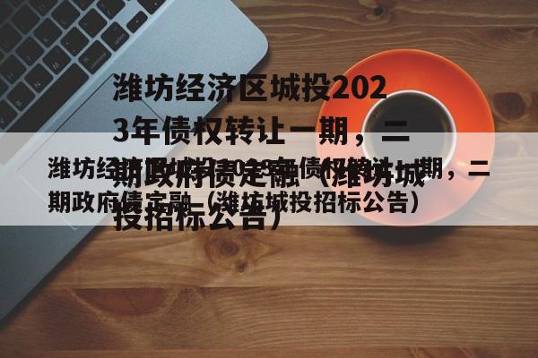 潍坊经济区城投2023年债权转让一期，二期政府债定融（潍坊城投招标公告）