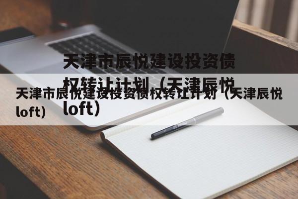 天津市辰悦建设投资债权转让计划（天津辰悦loft）