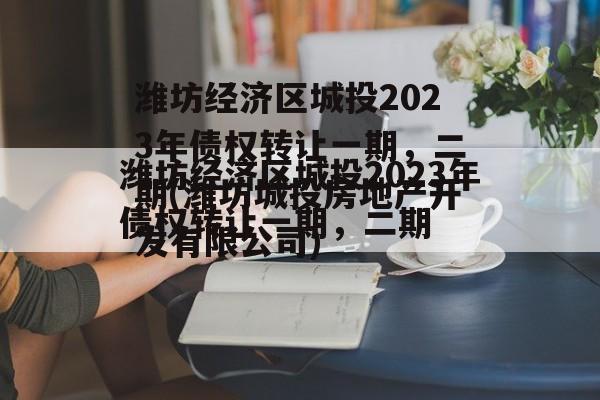 潍坊经济区城投2023年债权转让一期，二期(潍坊城投房地产开发有限公司)