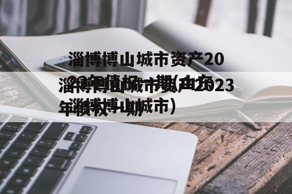 淄博博山城市资产2023年债权一期(山东淄博博山城市)