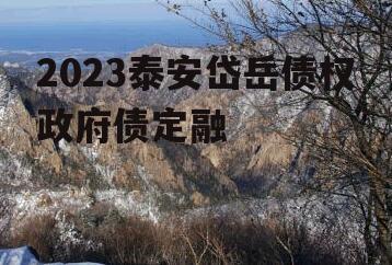 2023泰安岱岳债权政府债定融