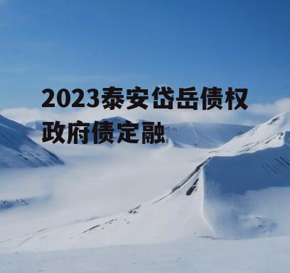 2023泰安岱岳债权政府债定融