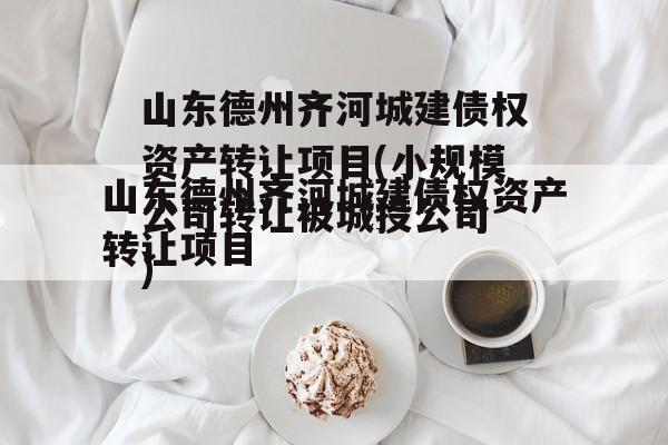 山东德州齐河城建债权资产转让项目(小规模公司转让被城投公司
)