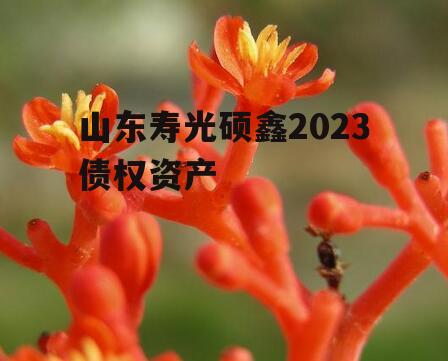 山东寿光硕鑫2023债权资产