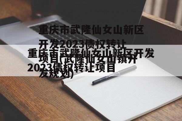 重庆市武隆仙女山新区开发2023债权转让项目(武隆仙女山镇开发规划)