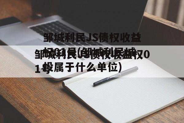 邹城利民JS债权收益权01号(邹城利民城投属于什么单位)