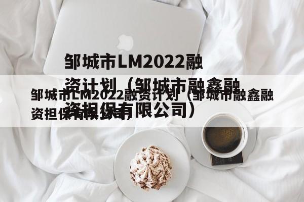 邹城市LM2022融资计划（邹城市融鑫融资担保有限公司）