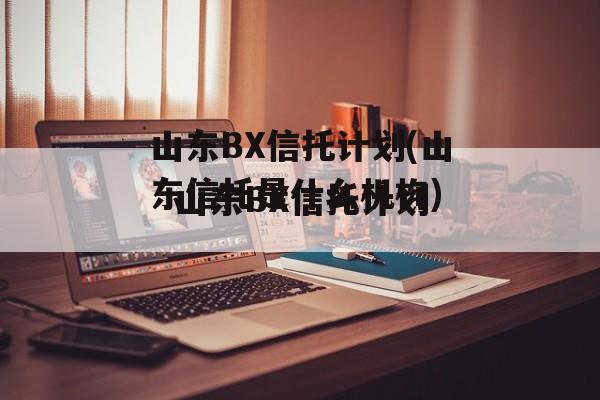 山东BX信托计划(山东信托是什么机构)