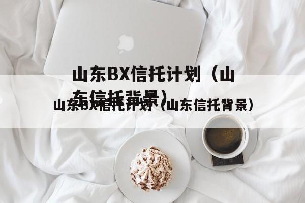 山东BX信托计划（山东信托背景）