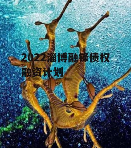 2022淄博融锋债权融资计划