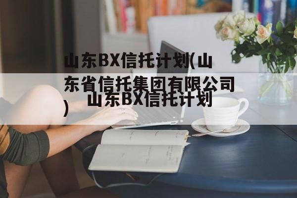 山东BX信托计划(山东省信托集团有限公司)