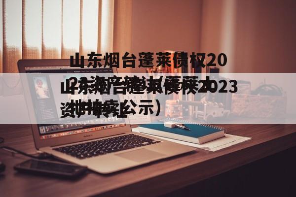 山东烟台蓬莱债权2023资产转让(蓬莱土地拍卖公示)