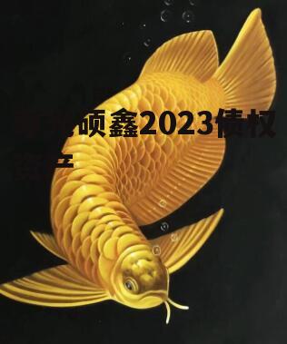 寿光硕鑫2023债权资产