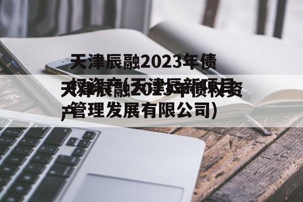 天津辰融2023年债权资产(天津辰新项目管理发展有限公司)