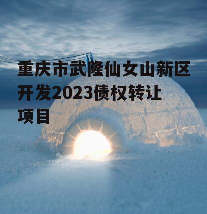 重庆市武隆仙女山新区开发2023债权转让项目