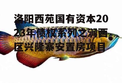 洛阳西苑国有资本2023年债权系列之涧西区兴隆寨安置房项目