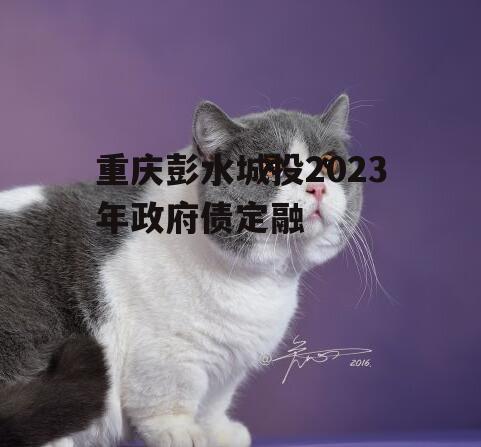 重庆彭水城投2023年政府债定融