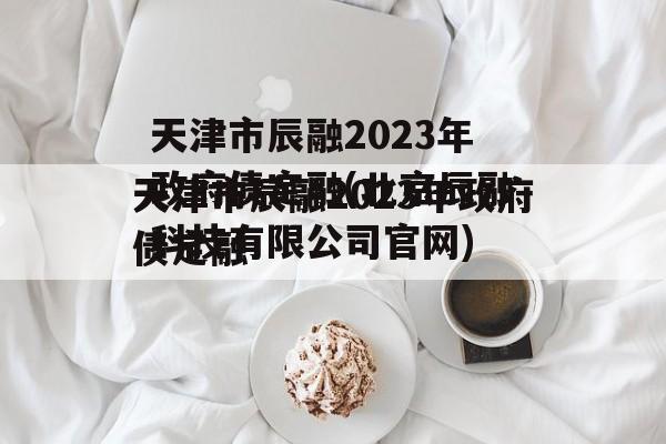 天津市辰融2023年政府债定融(北京辰融科技有限公司官网)