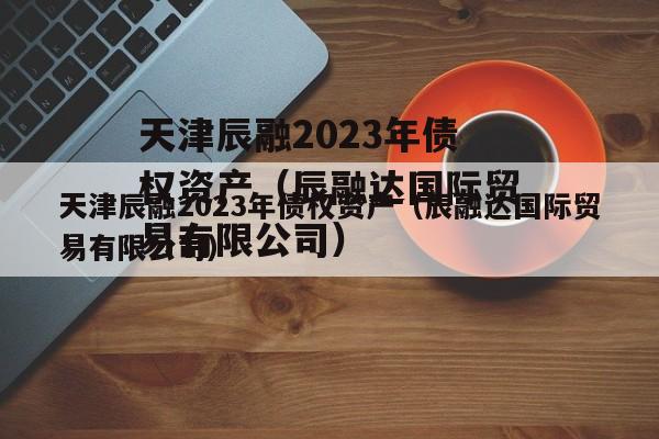 天津辰融2023年债权资产（辰融达国际贸易有限公司）