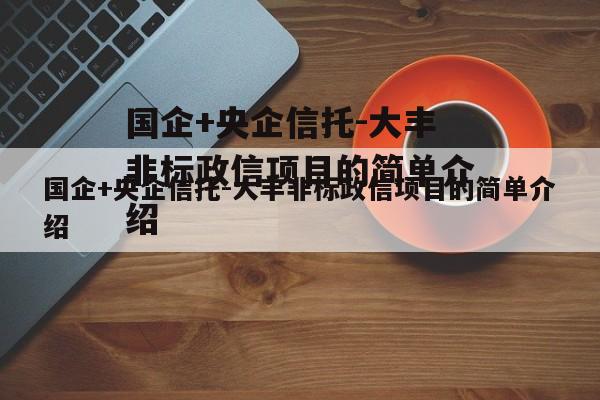 国企+央企信托-大丰非标政信项目的简单介绍