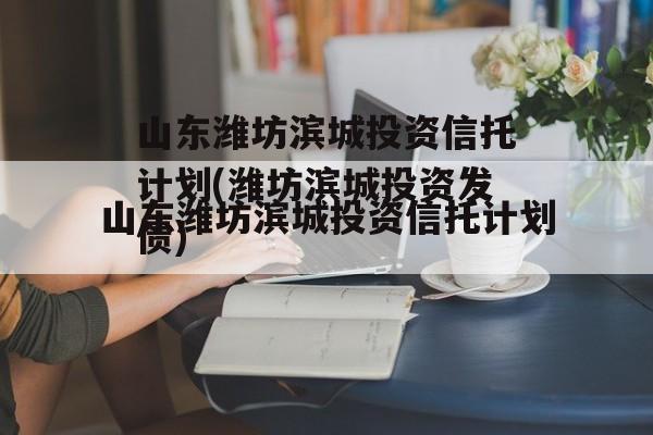 山东潍坊滨城投资信托计划(潍坊滨城投资发债)