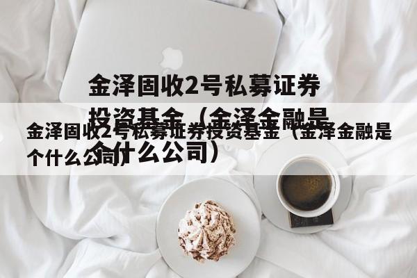 金泽固收2号私募证券投资基金（金泽金融是个什么公司）