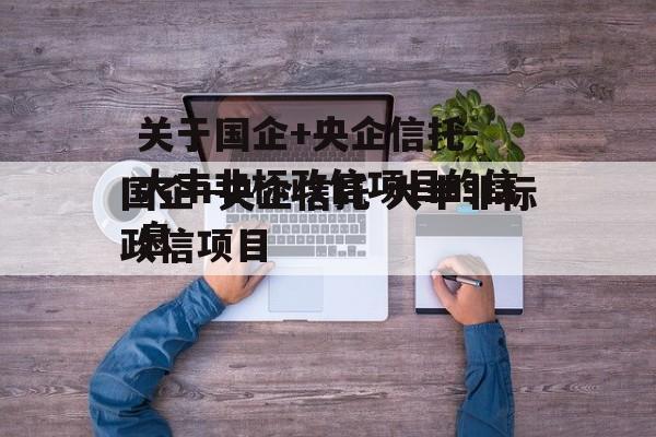 关于国企+央企信托-大丰非标政信项目的信息