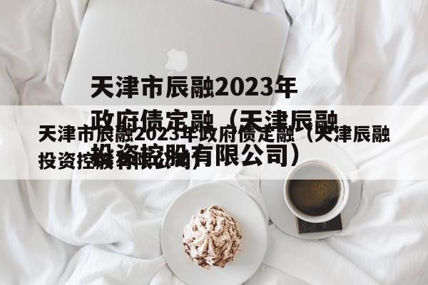 天津市辰融2023年政府债定融（天津辰融投资控股有限公司）