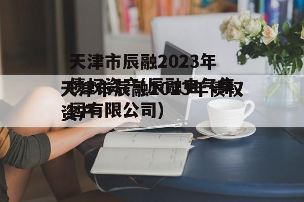 天津市辰融2023年债权资产(辰融电气集团有限公司)