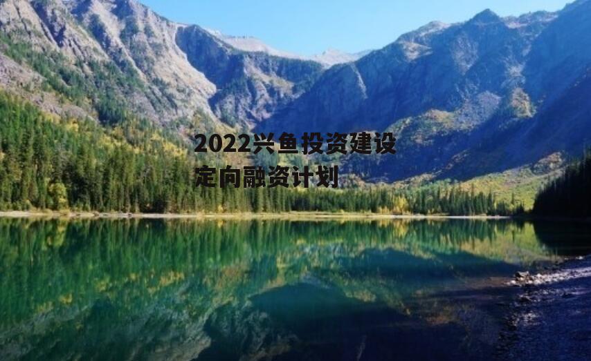 2022兴鱼投资建设定向融资计划