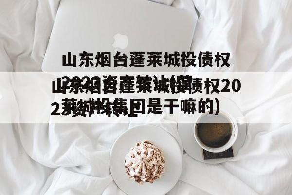 山东烟台蓬莱城投债权2023资产转让(蓬莱城投集团是干嘛的)