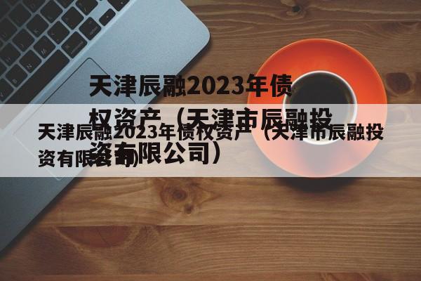 天津辰融2023年债权资产（天津市辰融投资有限公司）