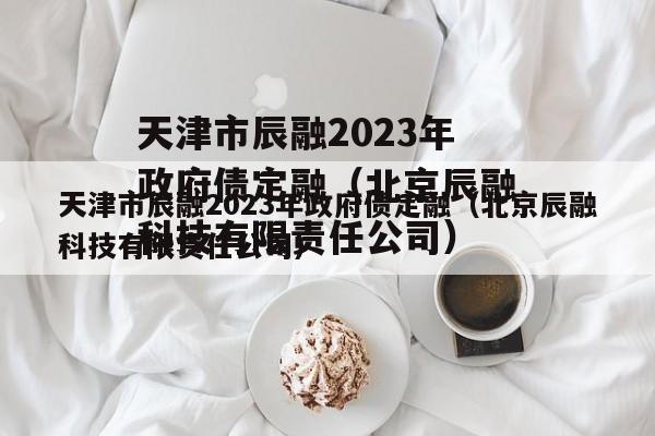 天津市辰融2023年政府债定融（北京辰融科技有限责任公司）