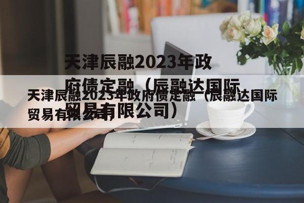 天津辰融2023年政府债定融（辰融达国际贸易有限公司）