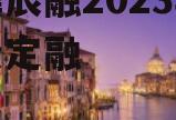 天津辰融2023年政府债定融